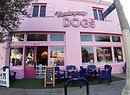 Un dog cafè a Los Angeles (ANSA)