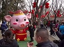 Capodanno cinese al via con l'anno del maiale (ANSA)