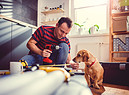 Lavori in casa, il cane guarda incuriosito foto iStock. (ANSA)