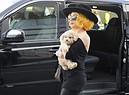 Lady Gaga (foto d'archivio) (ANSA)