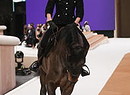 Chanel - Runway - Paris Fashion Week Haute Couture S/S 22 (ANSA)