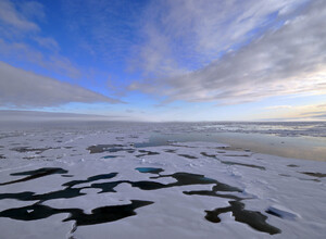 E’ vero che i ghiacci in Artico e Antartide sono aumentati rispetto a 20 anni fa? 
