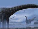 Anche i dinosauri avevano la tosse, lo rivela un fossile (fonte: Woodruff et al. (2022) and Corbin Rainbolt.) (ANSA)