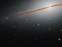 La galassia Piccolo Sombrero vista da Hubble (fonte: NASA, ESA, R. de Jong -Leibniz-Institut fur Astrophysik Potsdam; G. Kober - NASA Goddard/Catholic University of America) (ANSA)