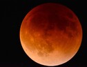 La Luna dirante un'eclissi totale (fonte: Kerry Barbour da Pixabay) (ANSA)