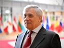 Tajani, illegittimo il voto nelle regioni ucraine occupate (ANSA)