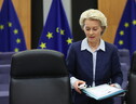 L'ex presidente finlandese farà un report sulla difesa europea (ANSA)
