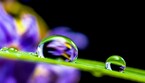 Si nasconde nelle gocce d’acqua il meccanismo, inseguito da decenni, alla base della nascita della vita sulla Terra (free via pixabay) (ANSA)