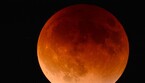 La Luna dirante un'eclissi totale (fonte: Kerry Barbour da Pixabay) (ANSA)