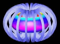 Rappresentazione artistica del plasma in un reattore a fusione nucleare (fonte: Oak Ridge National Laboratory, da Wikipedia) (ANSA)