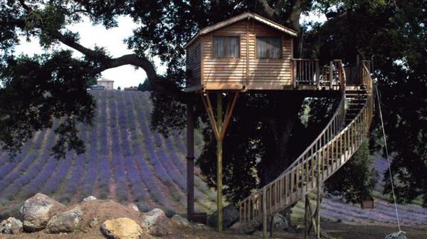 Casa sull'albero Ecobnb, originale alloggio dellagriturismo La  Piantata, in provincia di Viterbo © ANSA