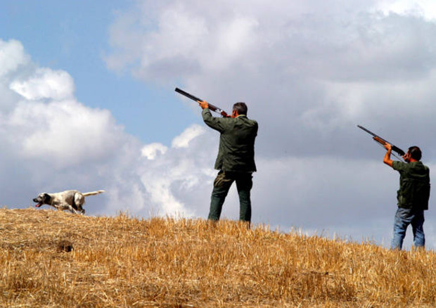 Al via le preaperture caccia, si spara in 16 regioni © ANSA 
