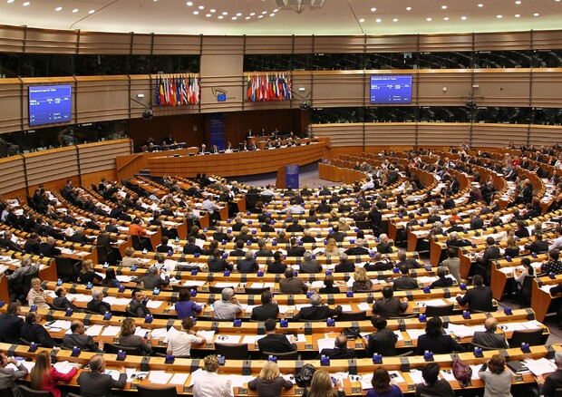 Ue:Parlamento;estendere reato associazione mafiosa in Europa © EPA