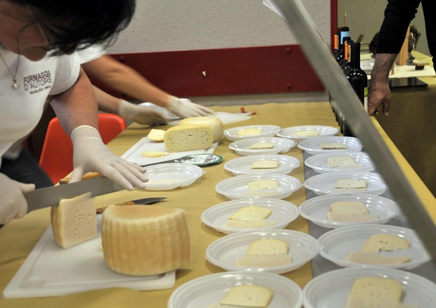 Latte: Commissione Ue, stoccaggio 100mila tnl formaggi © ANSA