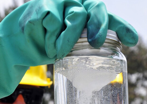 Biocarburanti: Pe, battuta arresto in iter nuove regole Ue © ANSA