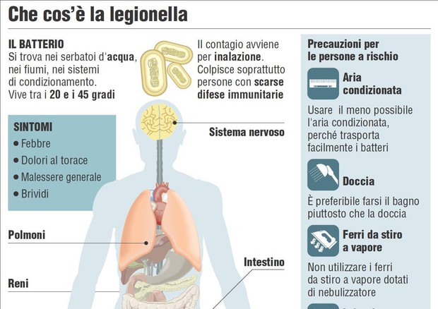 Nell'infografica realizzata da Centimetri la scheda della Legionella © ANSA