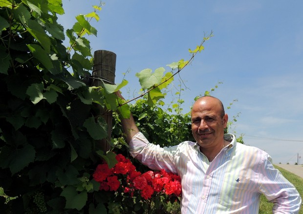 Filippo Mobrici, al vertice del Consorzio di Tutela Vini d’Asti e del Monferrato © Ansa