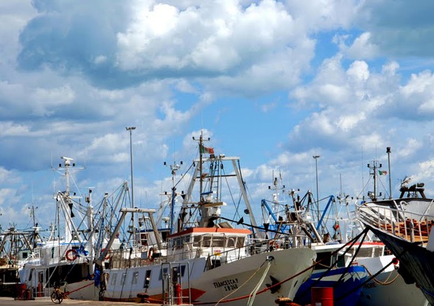 La marineria di San Benedetto a pesca di plastica © ANSA