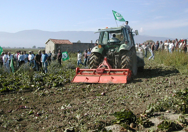 Italia rischia perdere 389mln aiuti Ue per l'agricoltura © ANSA