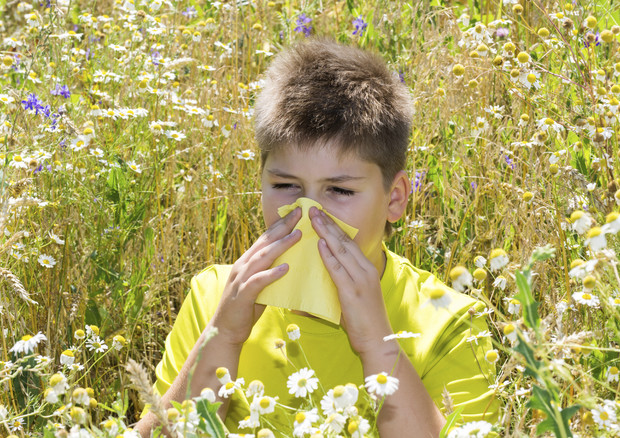 Da 10 anni pollini 'impazziti', colpa di clima e smog © Ansa