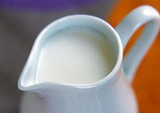 Latte, la produzione internazionale sale del 2,1% nel 2018 © ANSA