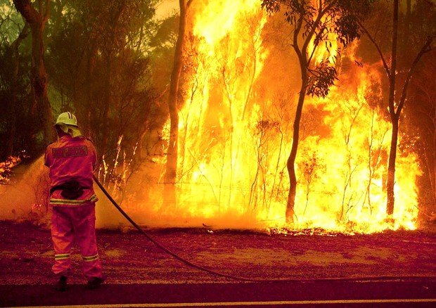 Bruciato 1/5 delle foreste in Australia, incendi 'senza precedenti' © ANSA