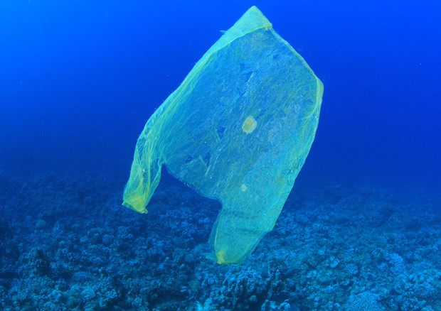 L'invasione della plastica in mari e oceani è il tema della Giornata mondiale dell'Ambiente 2018 (fonte: MichaelisScientists) © Ansa