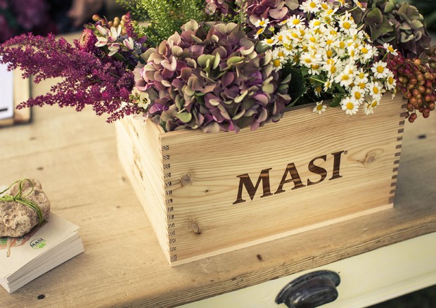 masi vino e fiori © ANSA