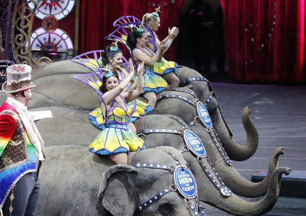 Last Circus Elephants © AP