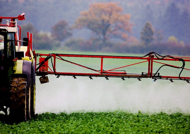 In pesticidi sostanze che alterano ormoni, nuovi criteri Ue © EPA