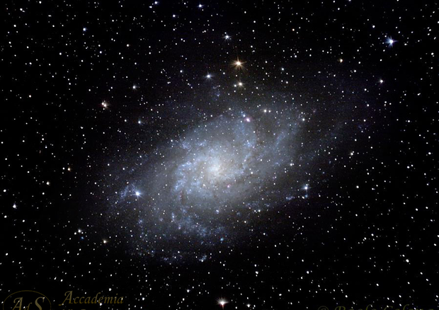 La galassia del Triangolo, fotografata da Paolo Colona (fonte: Paolo Colona, Accademia delle Stelle) © Ansa