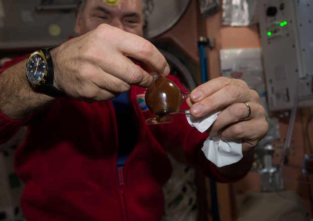 Astropaolo mostra la sua tazzina di caffè spaziale (fonte: Paolo Nespoli, ESA/NASA) © Ansa