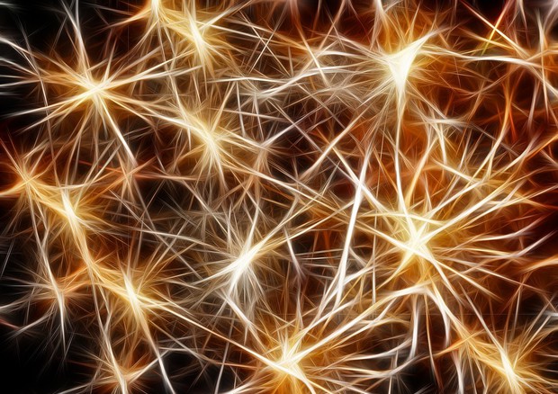 Rappresentazione artistica delle connessioni tra neuroni, ricordano delle stelle (fonte: Pixabay) © Ansa