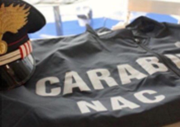 Carabinieri Nac © ANSA