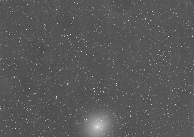 La cometa 45P/Honda-Mrkos-Pajdusakova fotografata da Rolando Ligustri (fonte: Rolando Ligustri, New Mexico) © Ansa