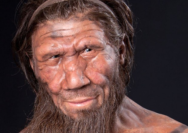 Ricostruzione dell'aspetto di un uomo di neanderthal (fonte: National History Museum) © Ansa