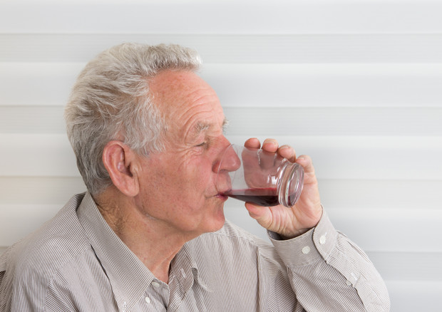 Bere concentrato di mirtilli migliora memoria negli anziani © Ansa