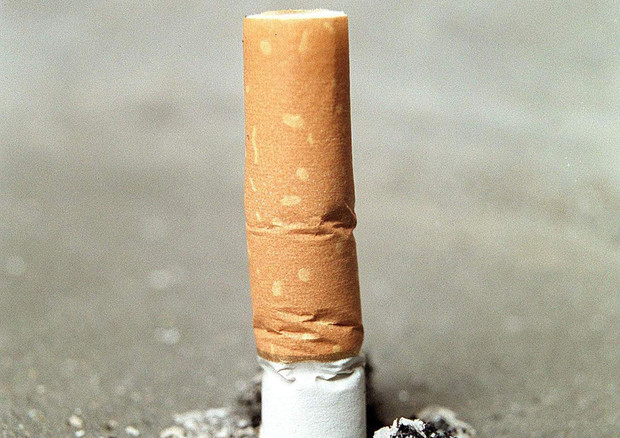 Oms, 6 milioni di morti l'anno a causa del tabacco © ANSA