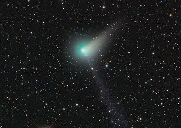 La cometa Johnson (C/2015 V2) fotografata da Rolando Ligustri (fonte: Rolando Ligustri) © Ansa