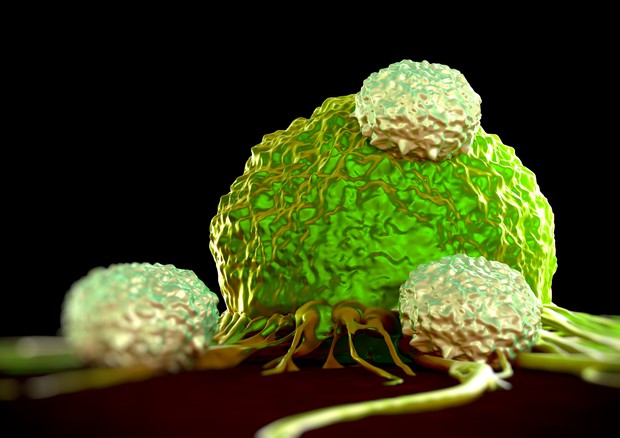 Bene l'immunoterapia contro il tumore al rene, il 77% pazienti vivo a 9 mesi © Ansa