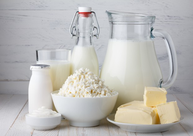 Consumare molti latticini senza grassi fa aumentare il rischio Parkinson © Ansa