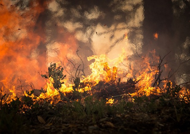 L'uomo è il primo responsabile degli incendi (fonte: skeeze/ Pixabay) © Ansa