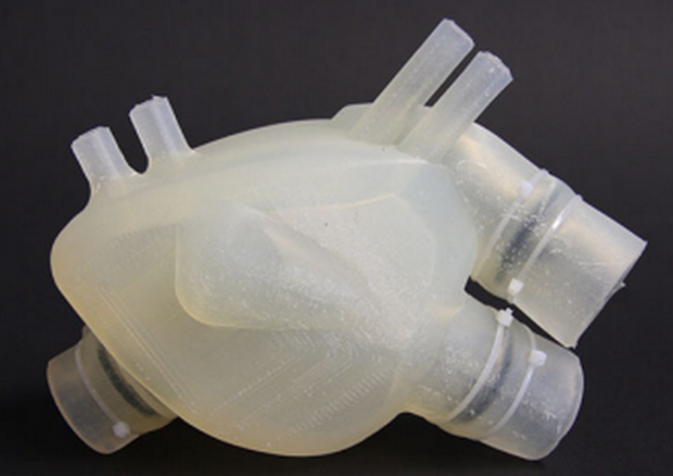 Il cuore in silicone stampato in 3D (fonte: Zurich Heart) © Ansa