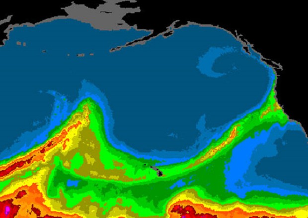 I fiumi dell'atmosfera fatti di vapore acqueo si estendono per migliaia di chilometri portando piogge e neve (NOAA ESRL) © Ansa