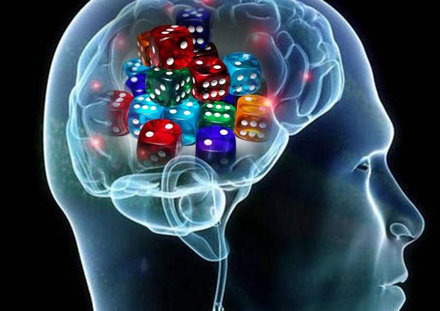 Individuata l'area del cervello legata alle scelte più immediate e meno razionali, come quelle legate al gioco d'azzardo (fonte: l'immagine della testa è di Allan Ajifo) © Ansa