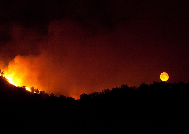 Il riscaldamento globale aumenta il rischio incendi nell'Europa mediterranea (fonte: Camillo Ferrari, CC BY-SA 3.0) © Ansa