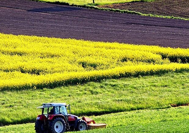 L'agricoltura italiana è la più green d'Europa (fonte: Pixabay) © Ansa