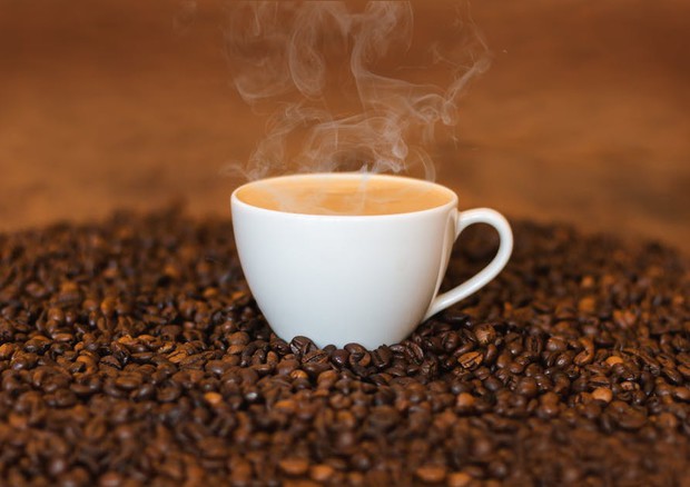 La passione per il caffè è scritta nel Dna (fonte: Pexels) © Ansa