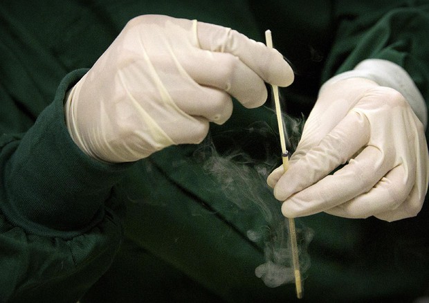 Un momento della ricerca sugli embrioni modificati Southern University of Science and Technology (fonte: Associated Press) © AP