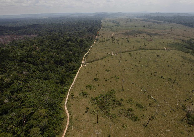 Amazzonia, i dati ufficiali confermano l'allarme © ANSA